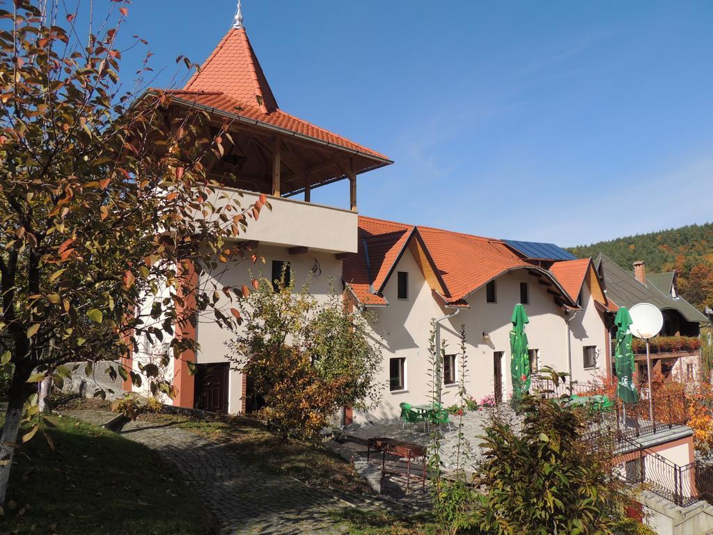 Mokus Panzio Bed & Breakfast Bicfălău Exterior foto