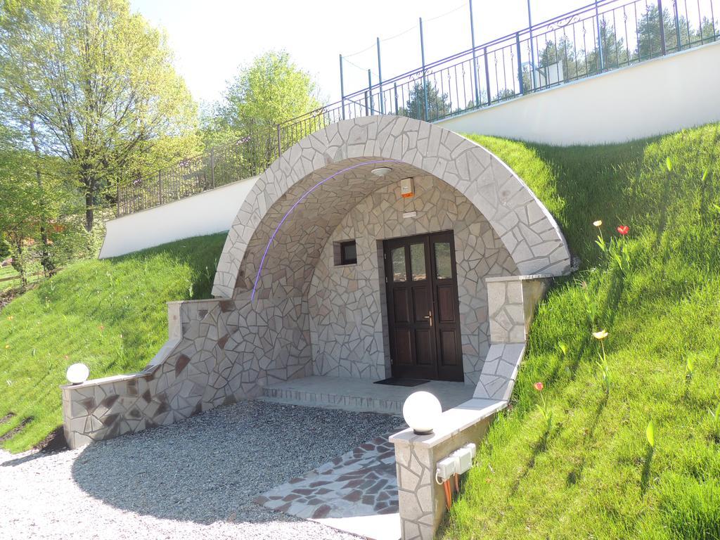 Mokus Panzio Bed & Breakfast Bicfălău Exterior foto